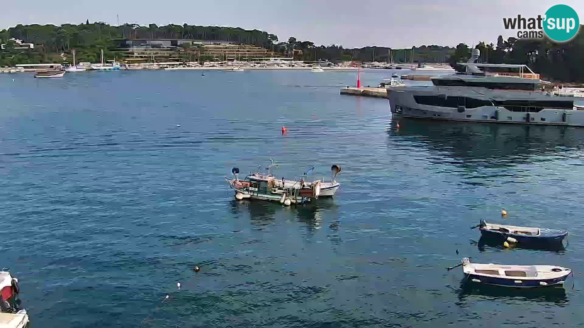 Rovinj webcam promenade and marina – Istria – Croatia