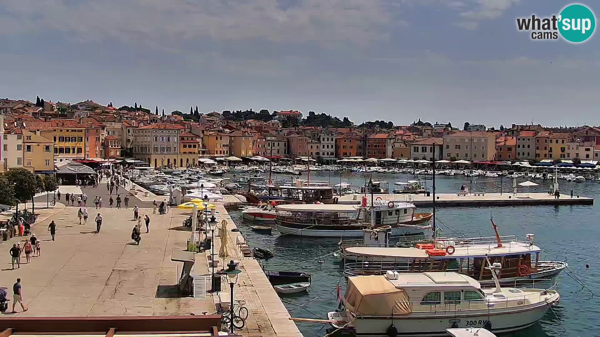 Rovinj webcam promenade and marina – Istria – Croatia