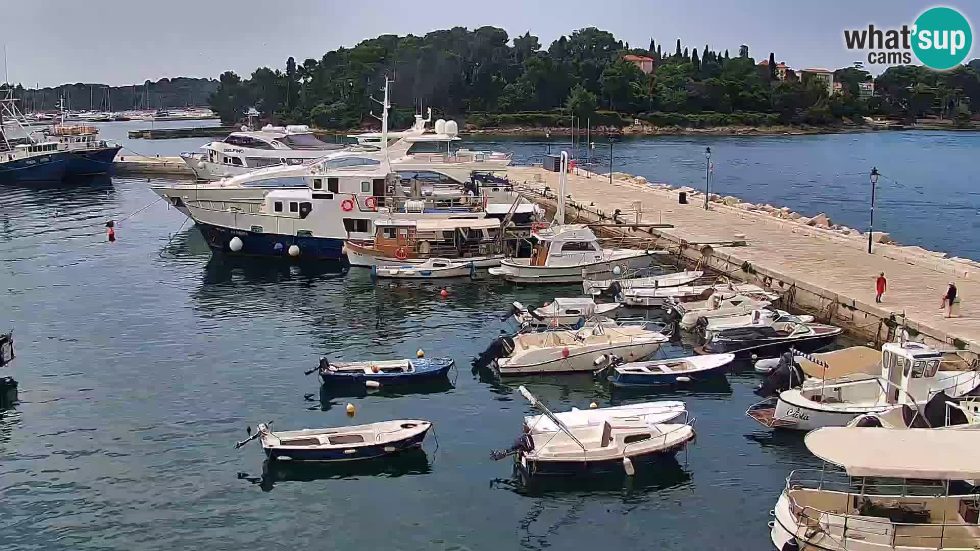 Rovinj webcam promenade and marina – Istria – Croatia