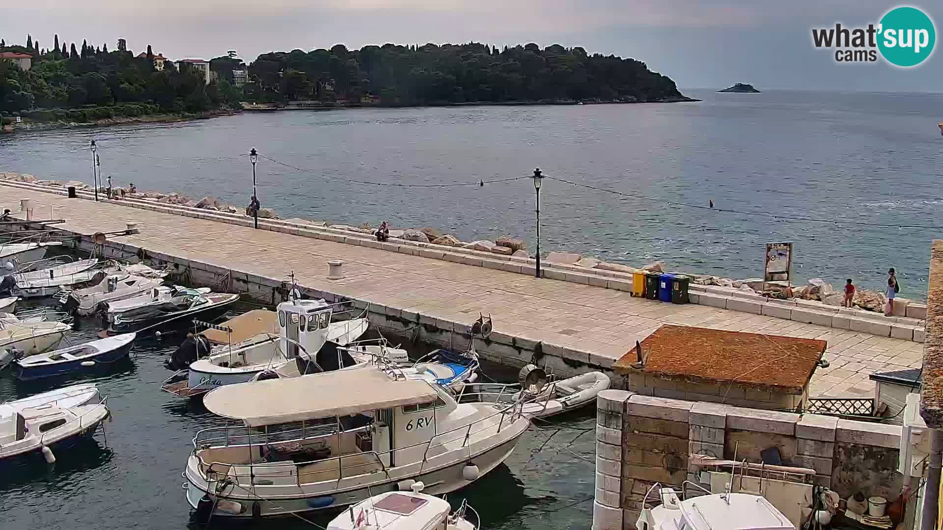 Rovinj webcam promenade and marina – Istria – Croatia