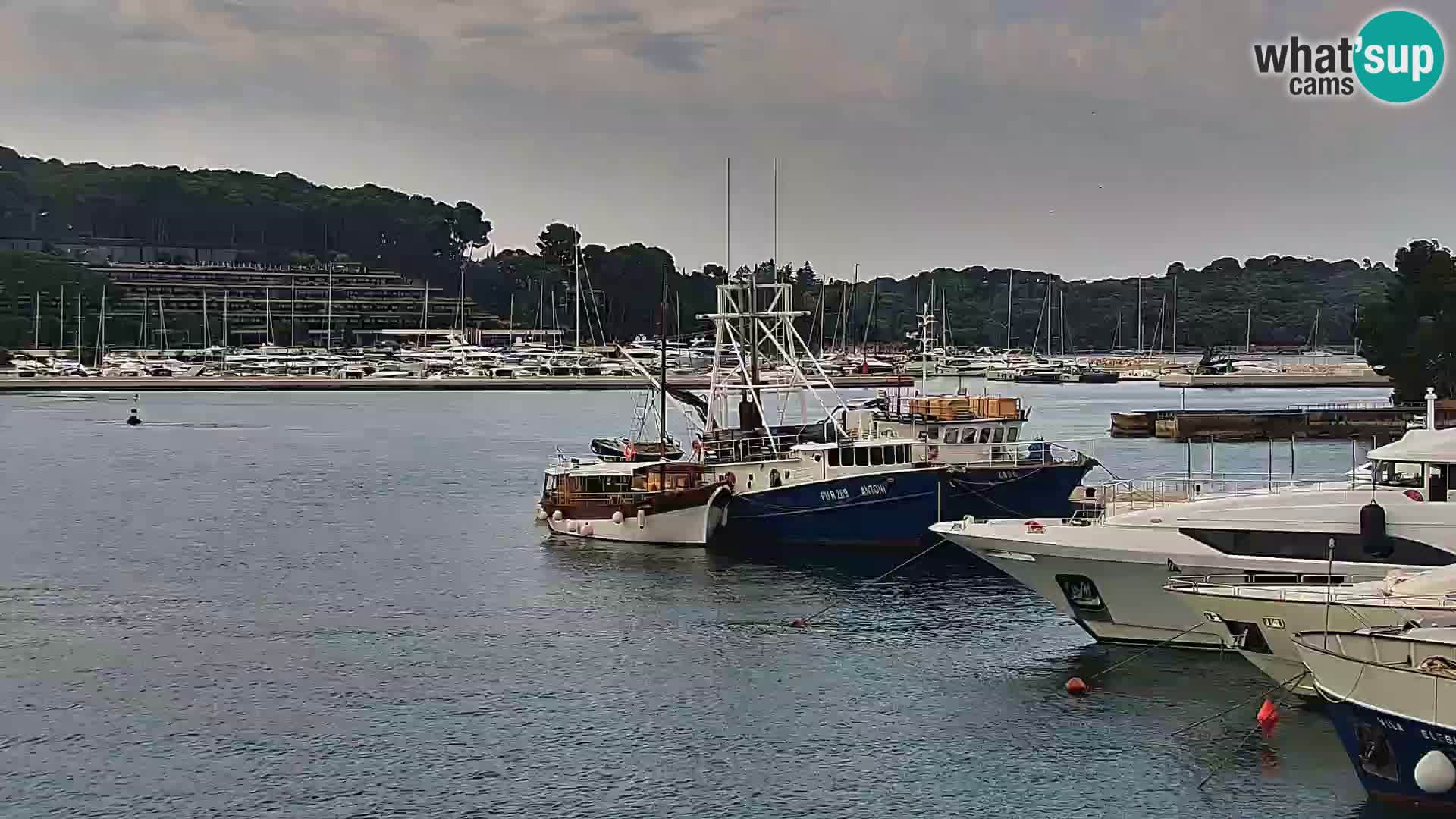 Promenada i marina u Rovinju