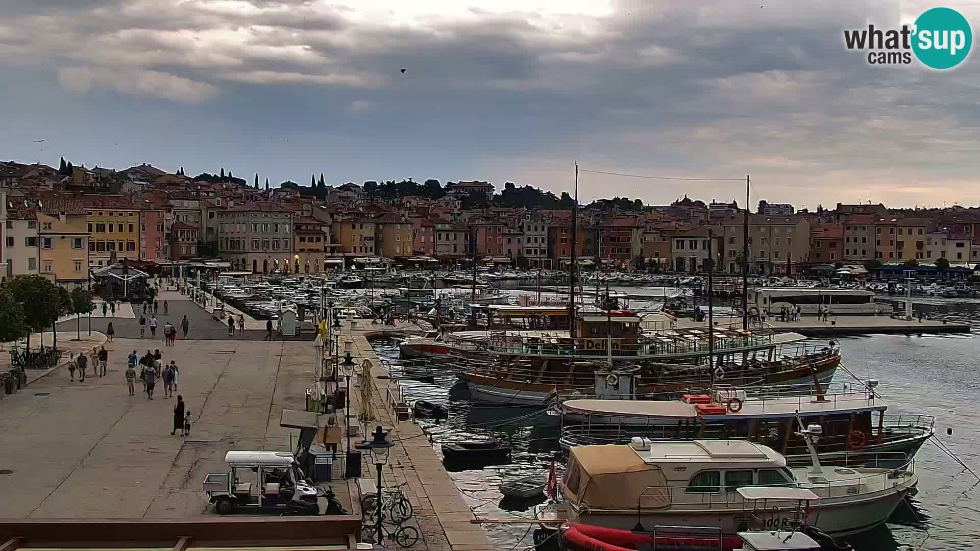Rovinj webcam promenade and marina – Istria – Croatia