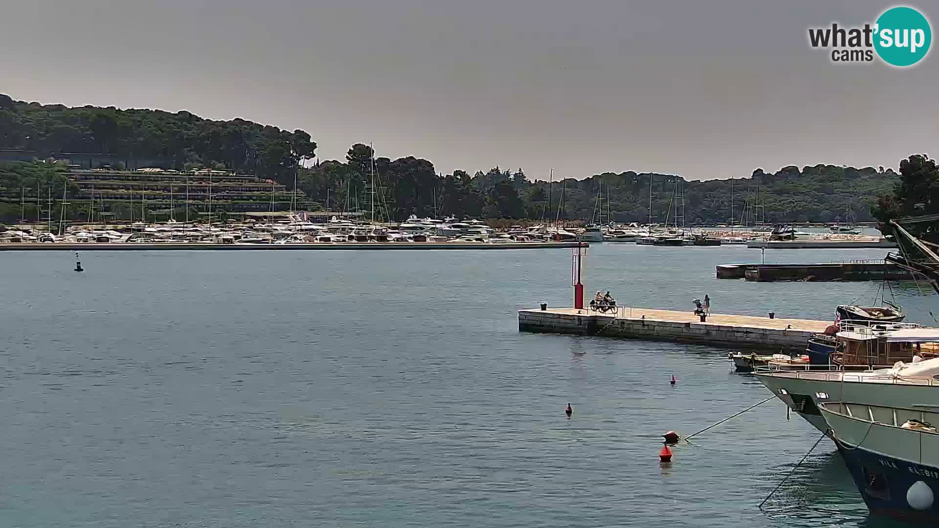 Spletna kamera Rovinj promenada in marina | Rovinj Vreme