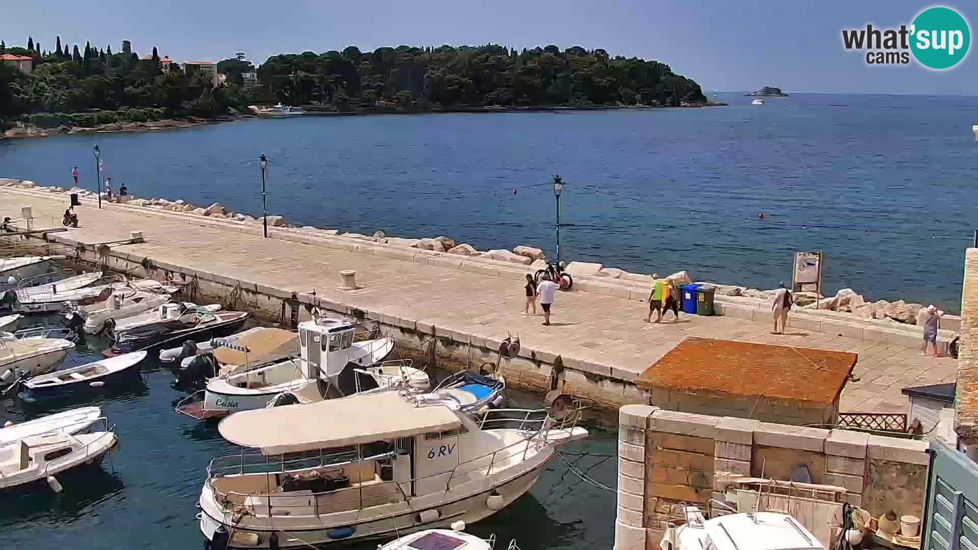 Webcam Rovigno marina | Lungomare | Rovinj Croazia