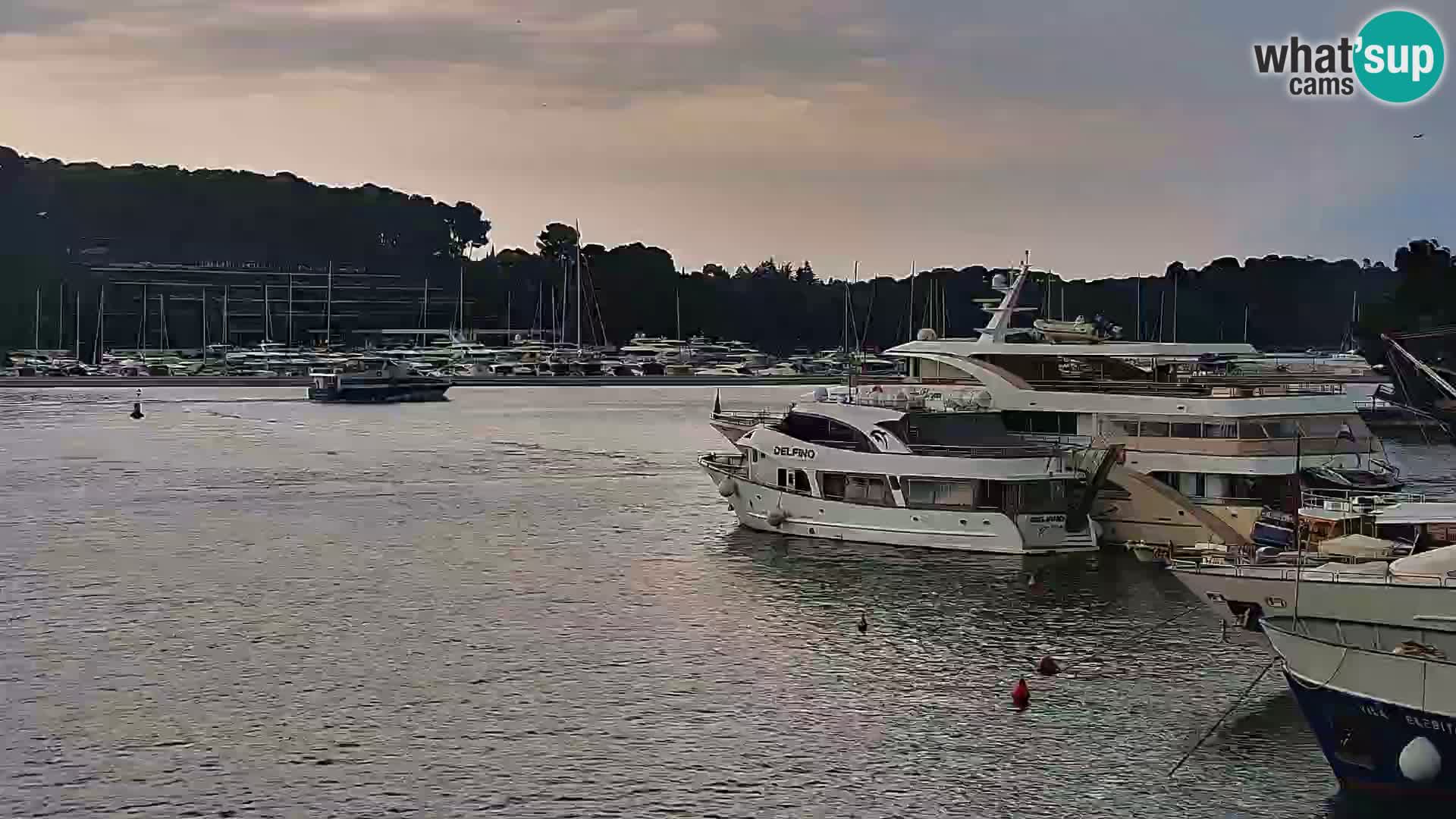 Promenada i marina u Rovinju