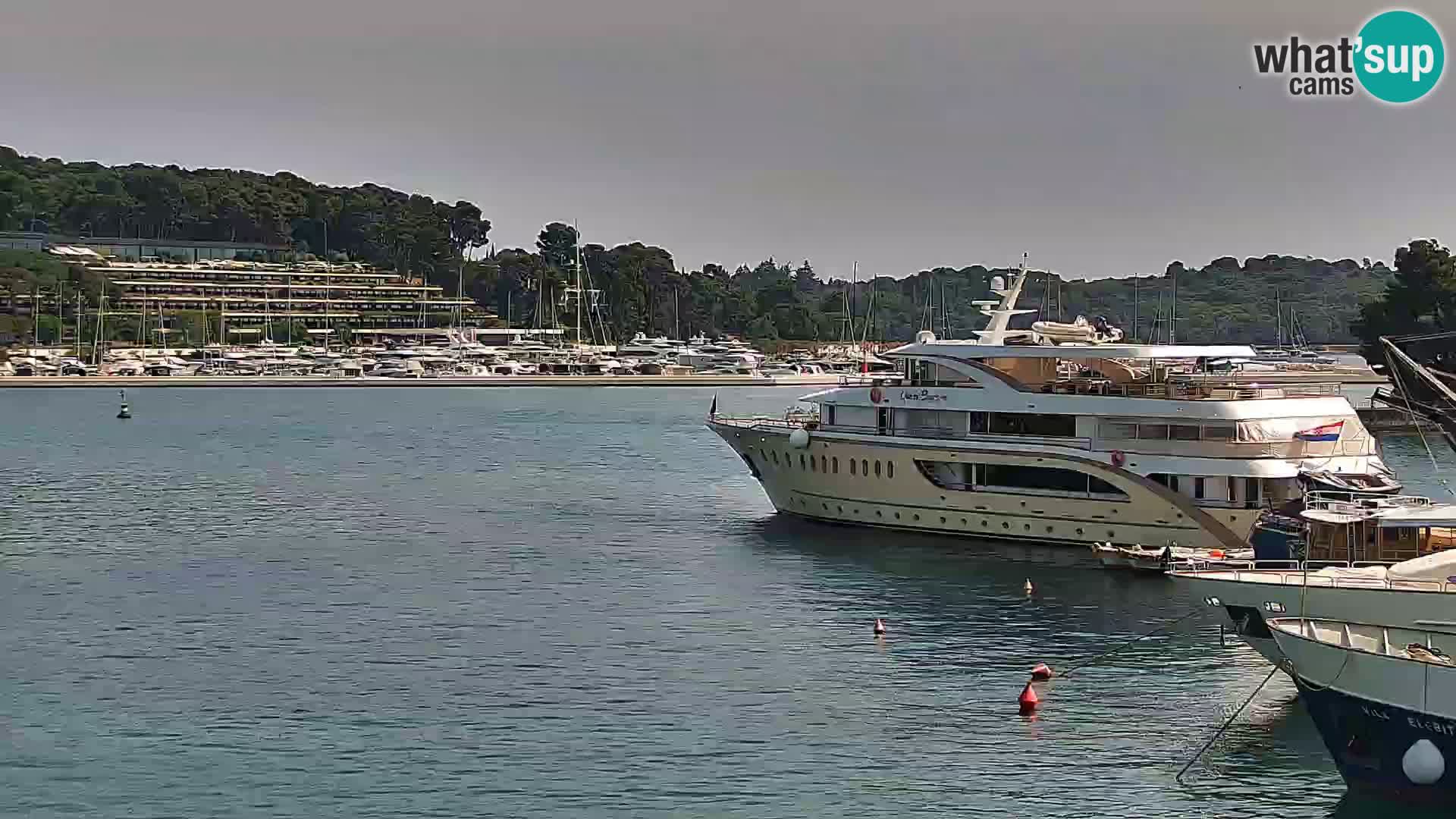 Promenade e marina en Rovinj