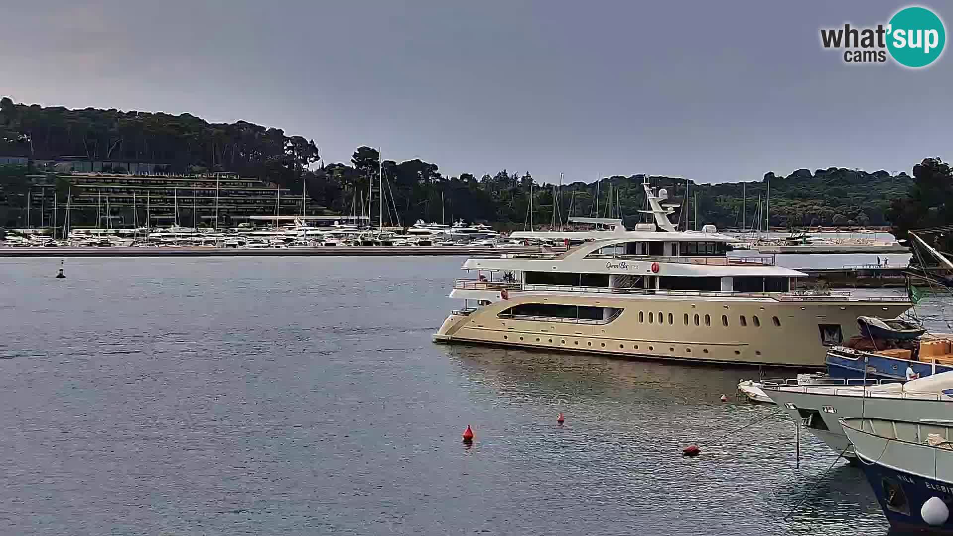 Rovinj webcam promenade and marina – Istria – Croatia