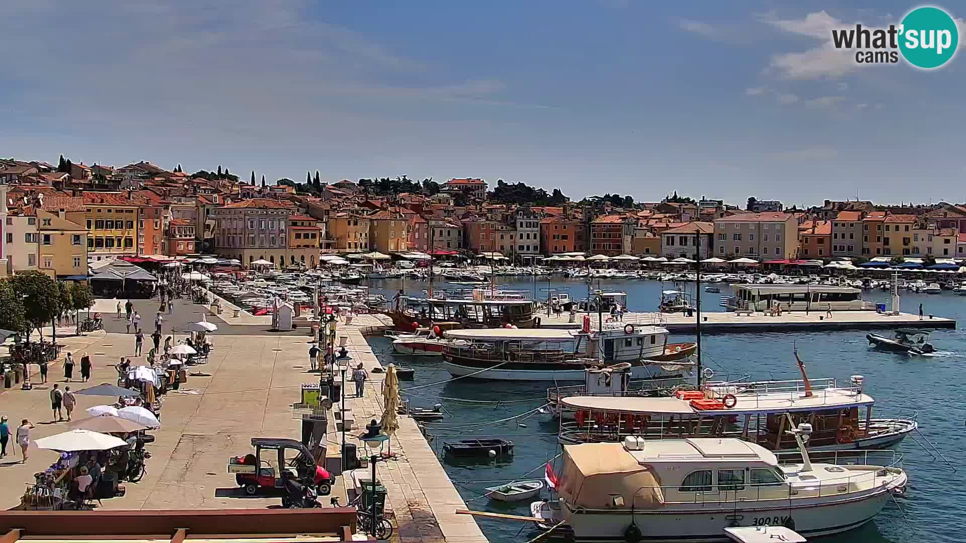 Rovinj webcam promenade and marina – Istria – Croatia