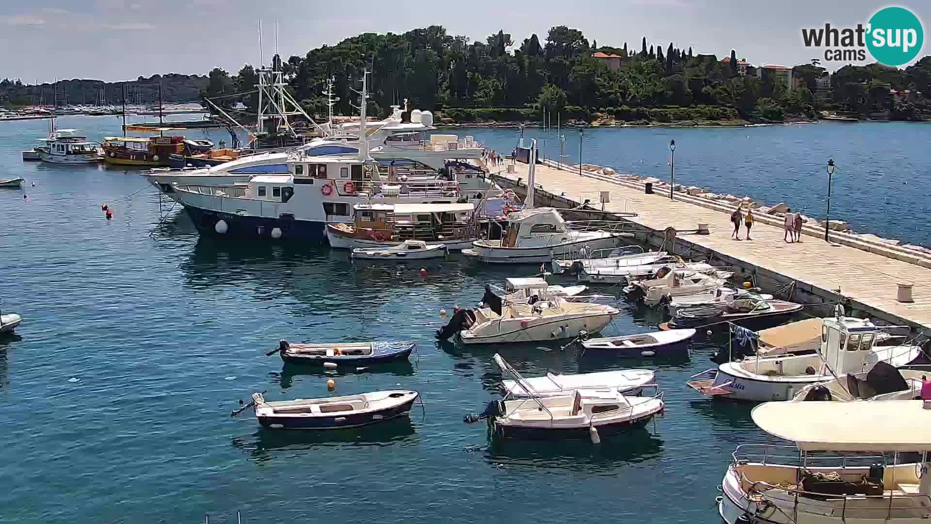 Rovinj webcam promenade and marina – Istria – Croatia
