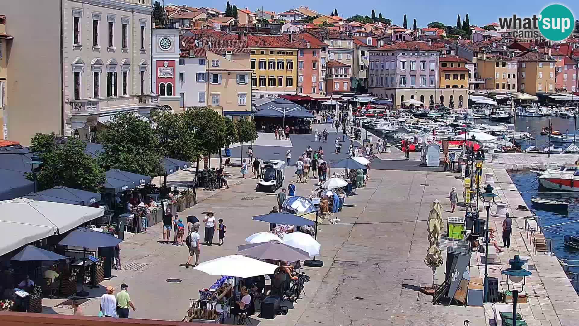 Rovinj webcam promenade and marina – Istria – Croatia