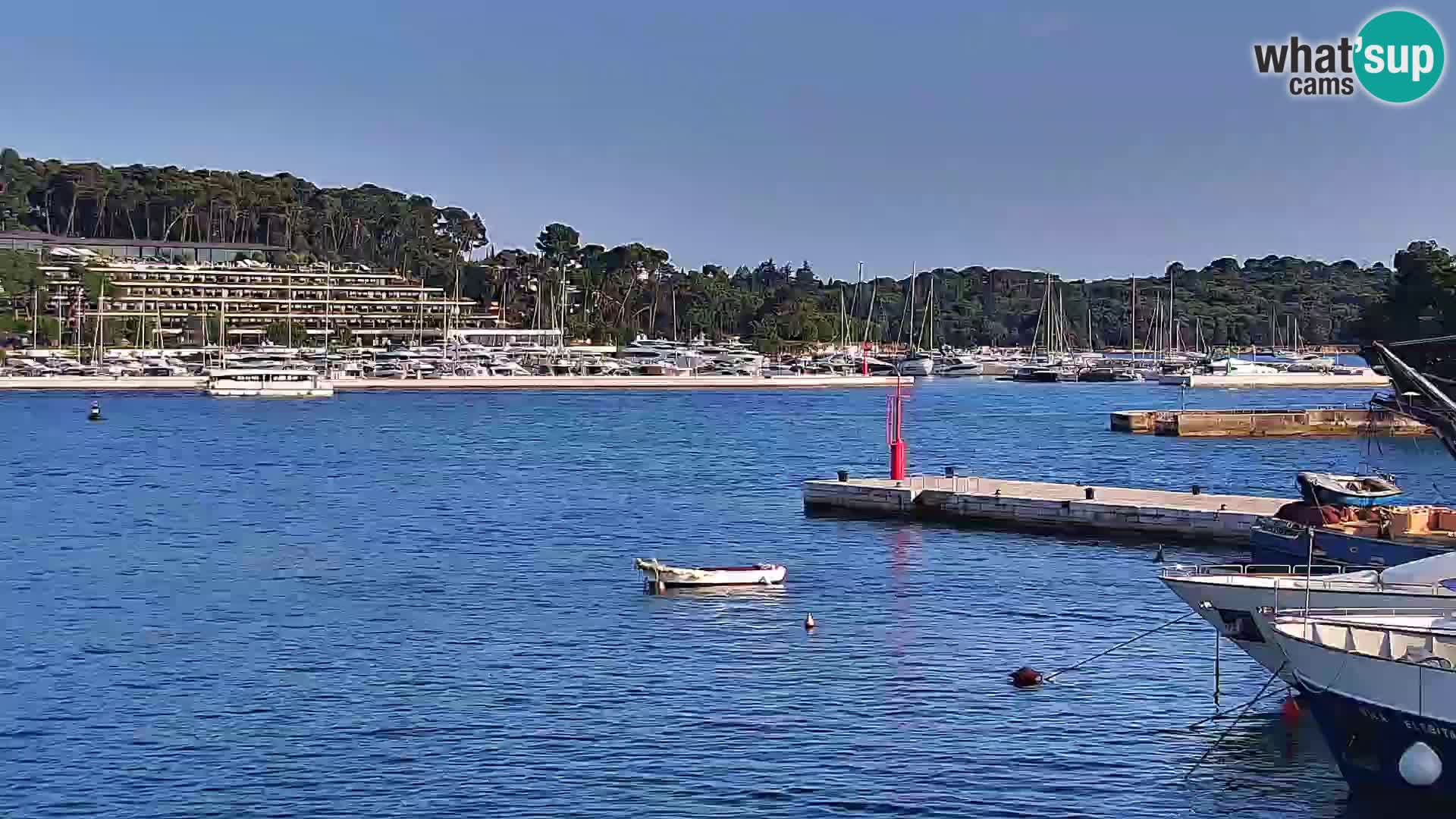Rovinj webcam promenade and marina – Istria – Croatia