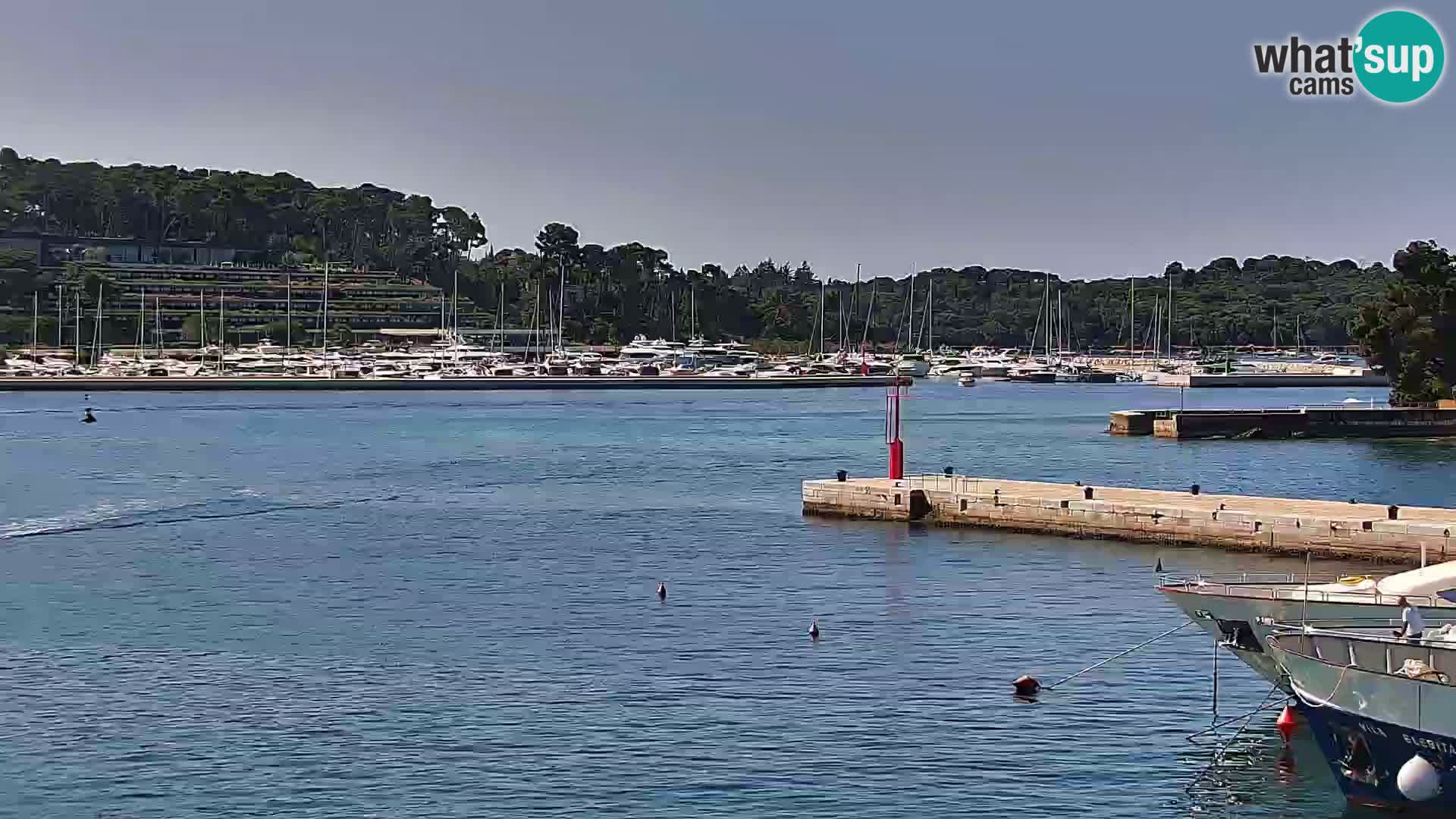 Promenade e marina en Rovinj
