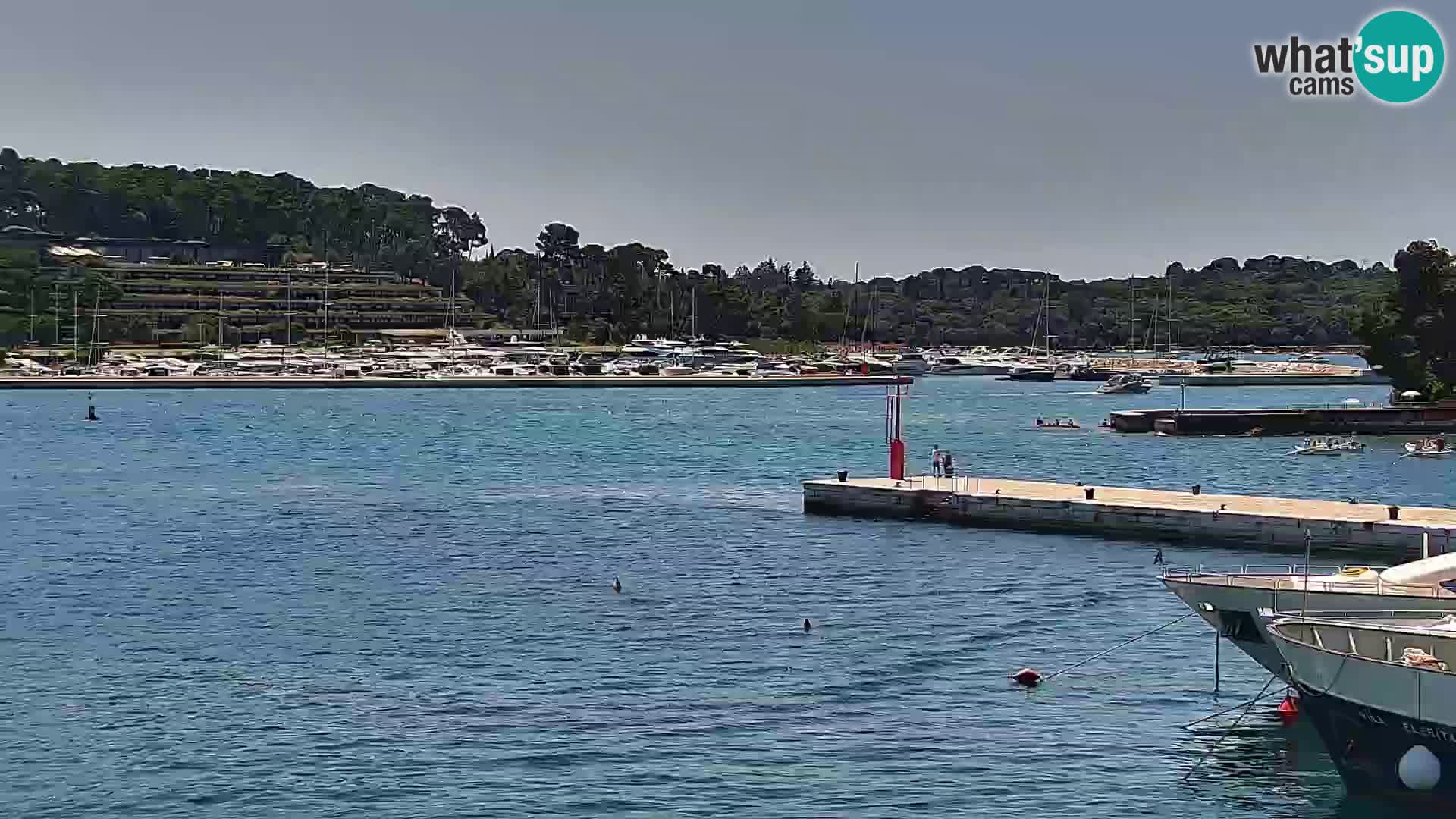 Webcam Rovinj Promenade – Istrien – Kroatien