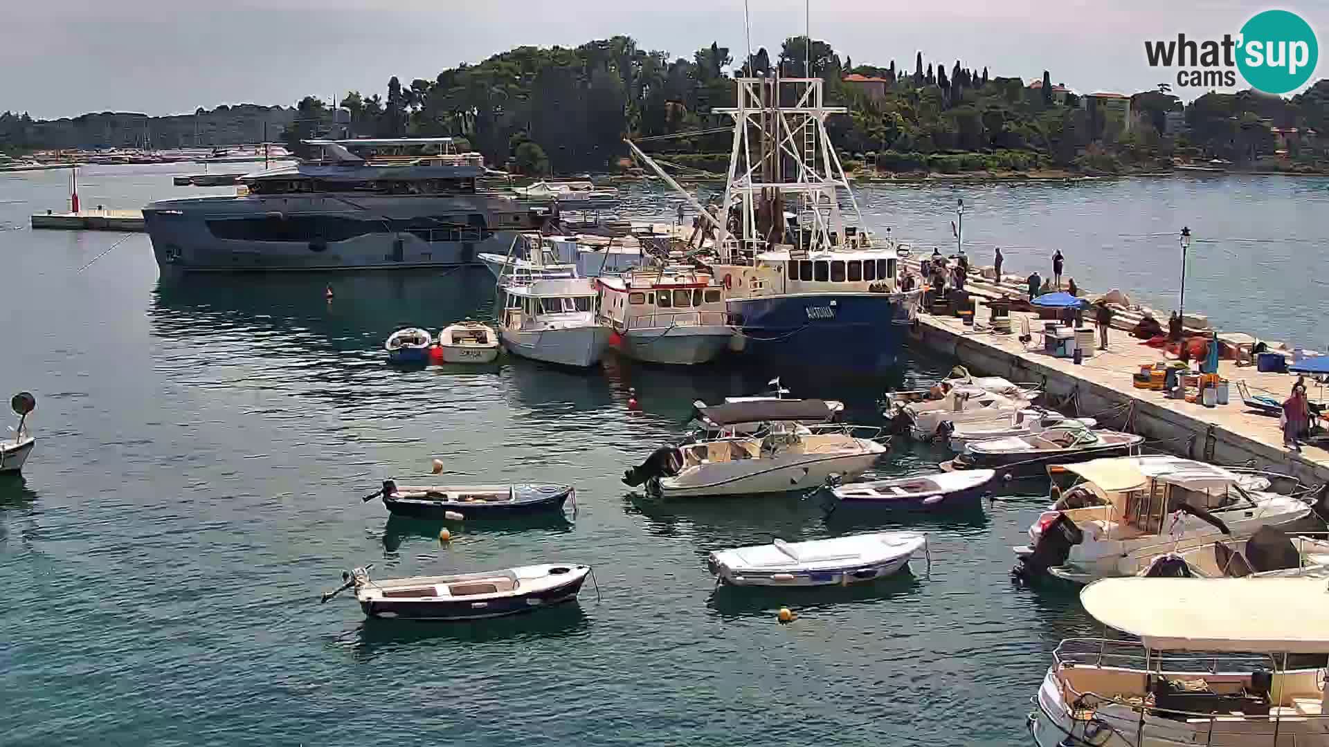 Rovinj webcam promenade and marina – Istria – Croatia