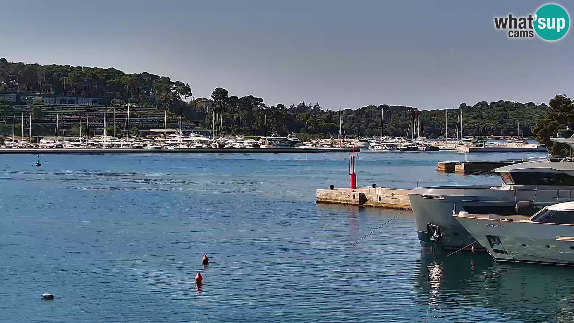 Promenade e marina en Rovinj