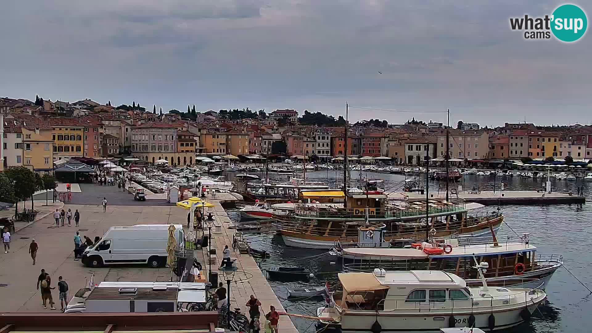 Webcam Rovigno marina | Lungomare | Rovinj Croazia