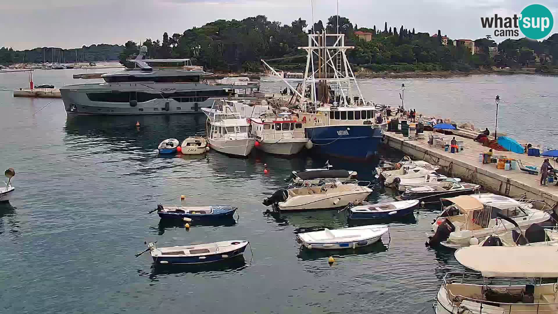 Rovinj webcam promenade and marina – Istria – Croatia