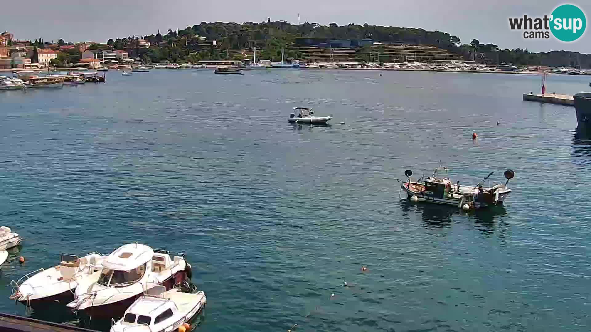 Rovinj webcam promenade and marina – Istria – Croatia