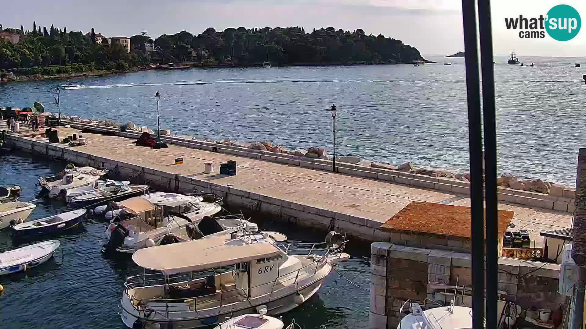 Webcam Rovigno marina | Lungomare | Rovinj Croazia