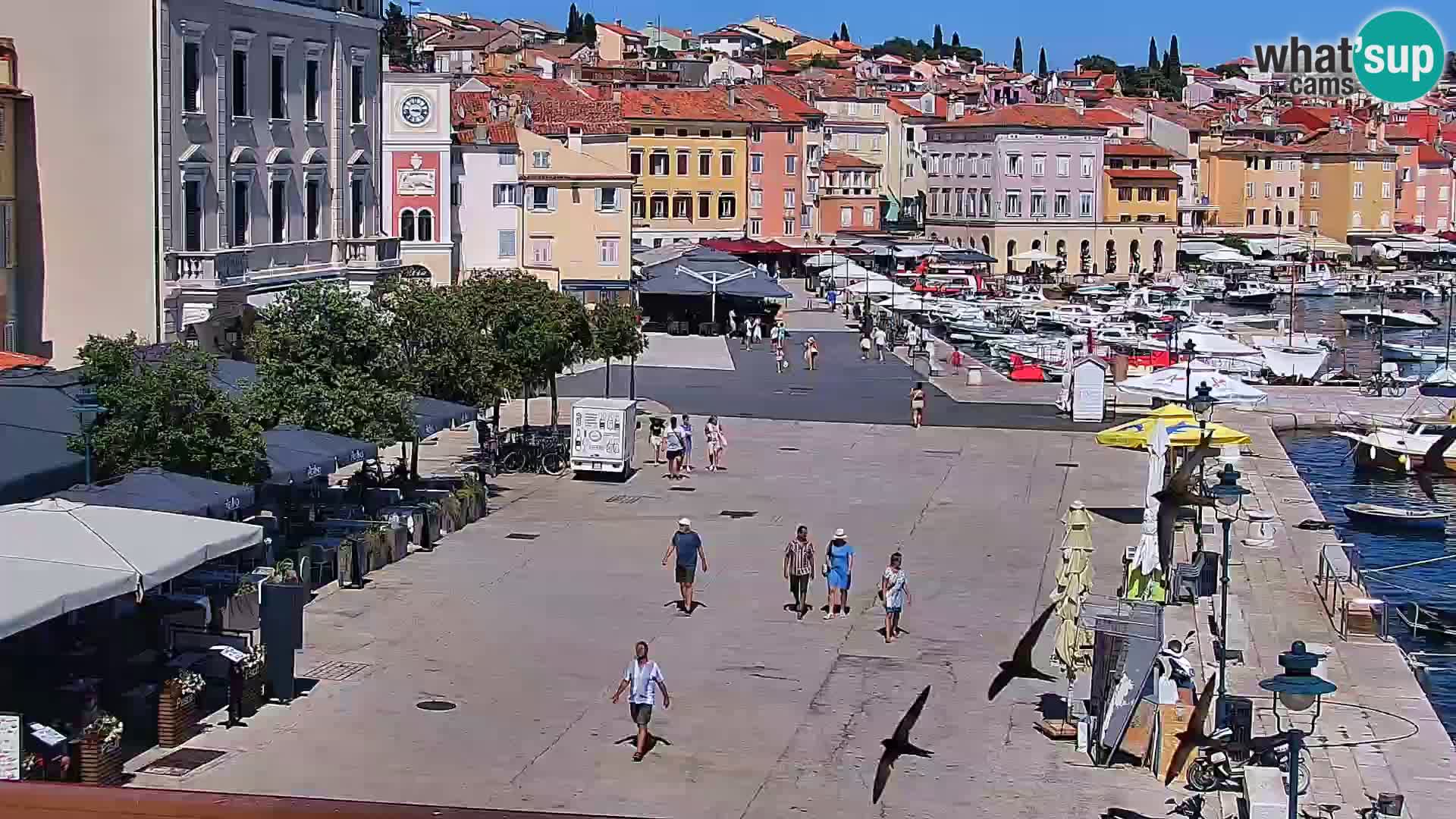Promenada i marina u Rovinju