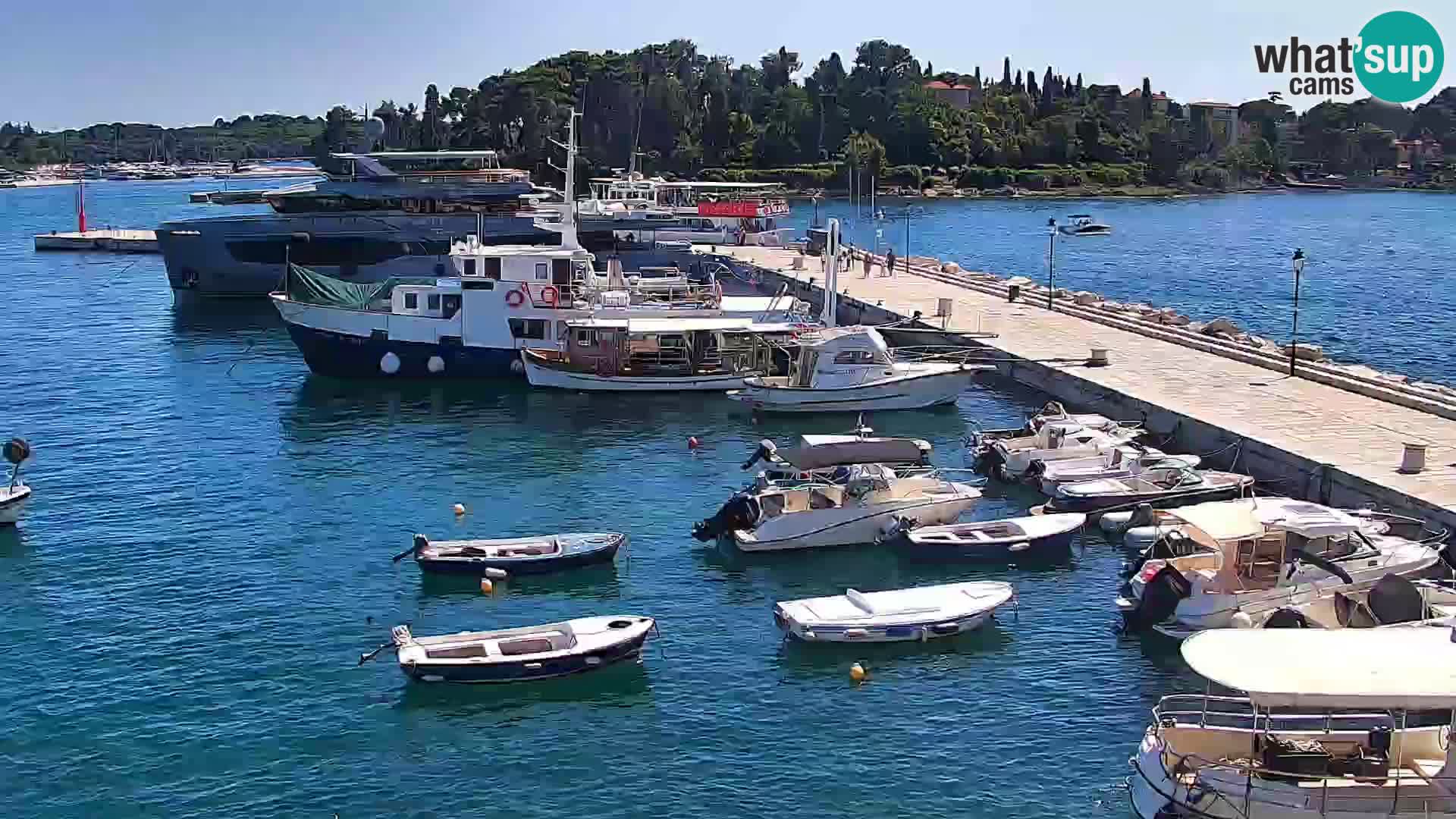 Rovinj webcam promenade and marina – Istria – Croatia