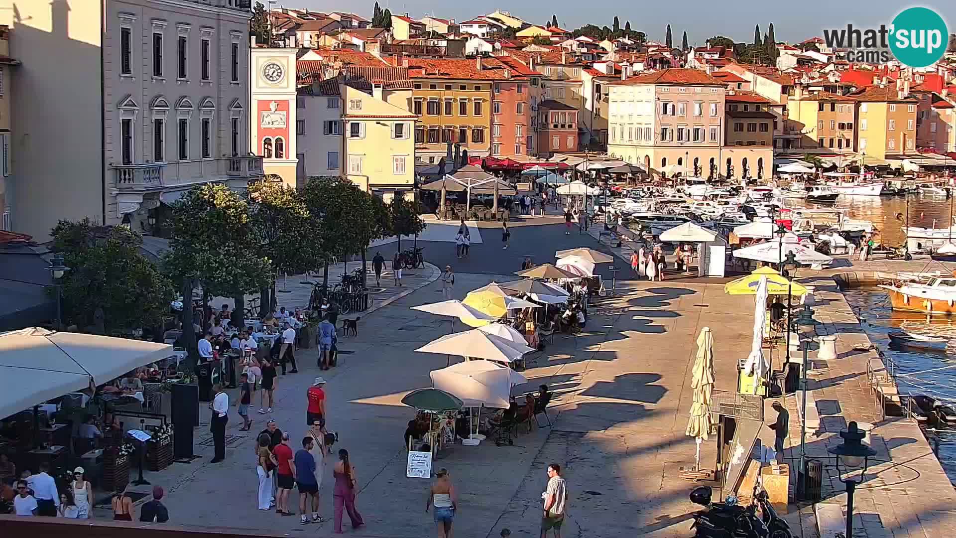 Rovinj webcam promenade and marina – Istria – Croatia