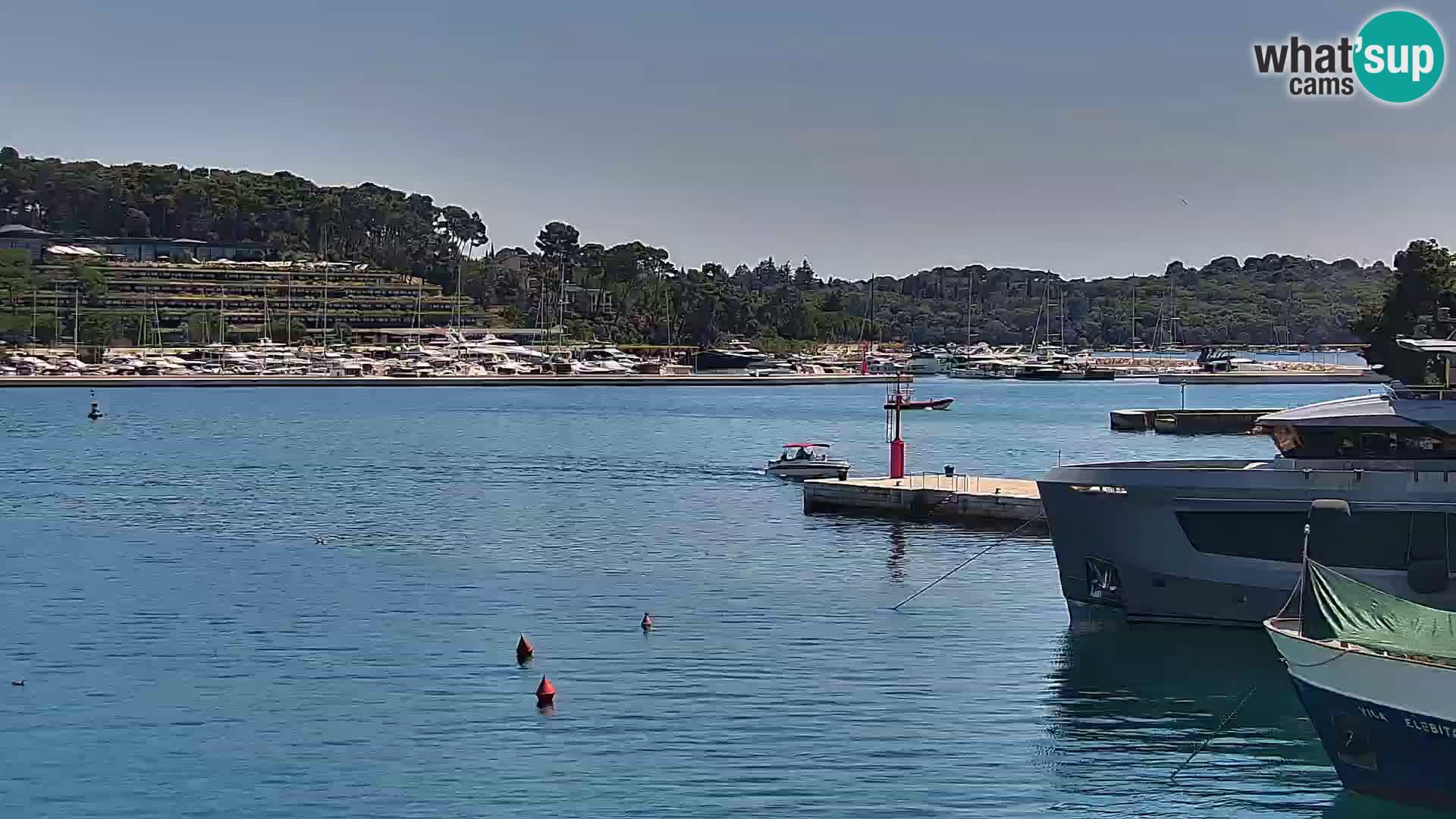 Promenade e marina en Rovinj