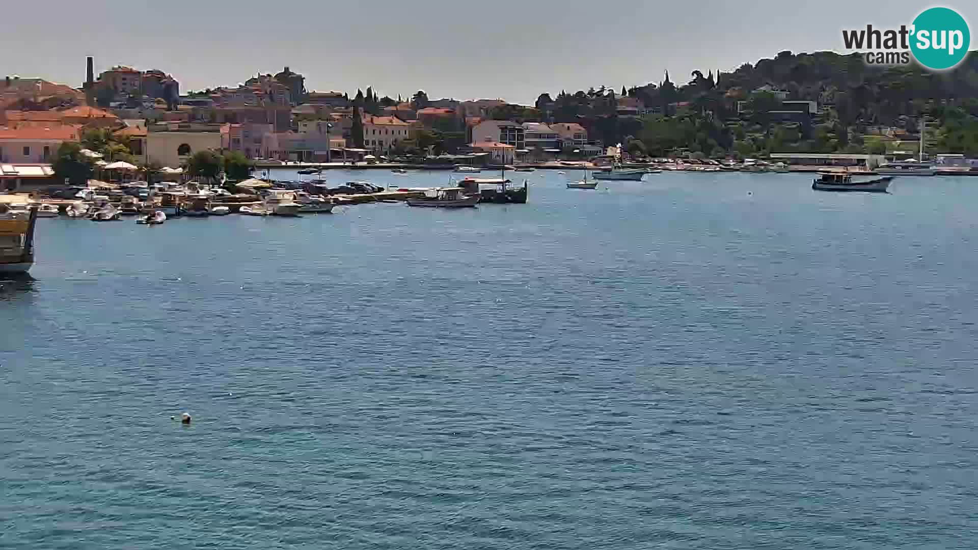 Promenade e marina a Rovinj