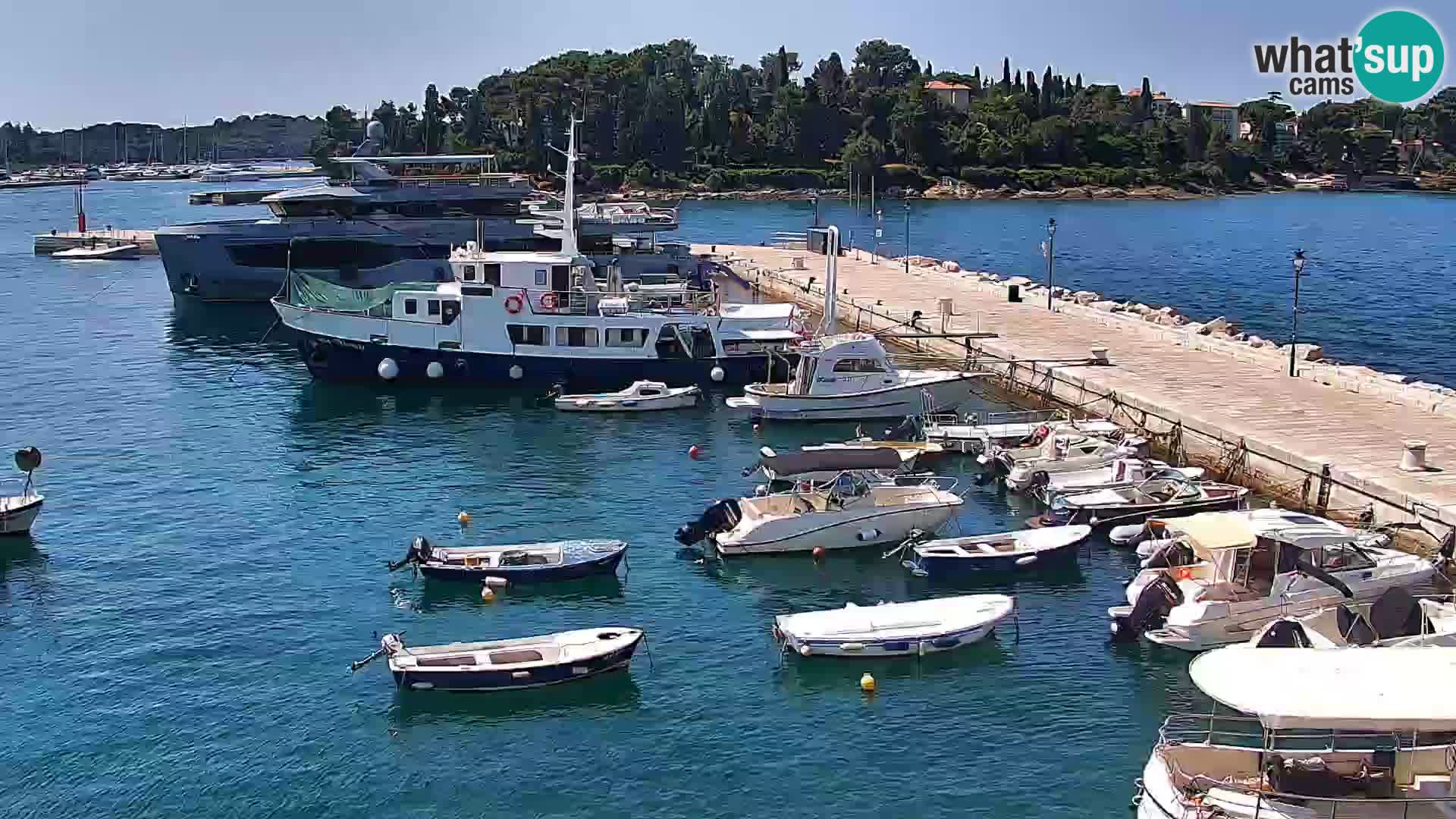 Rovinj webcam promenade and marina – Istria – Croatia