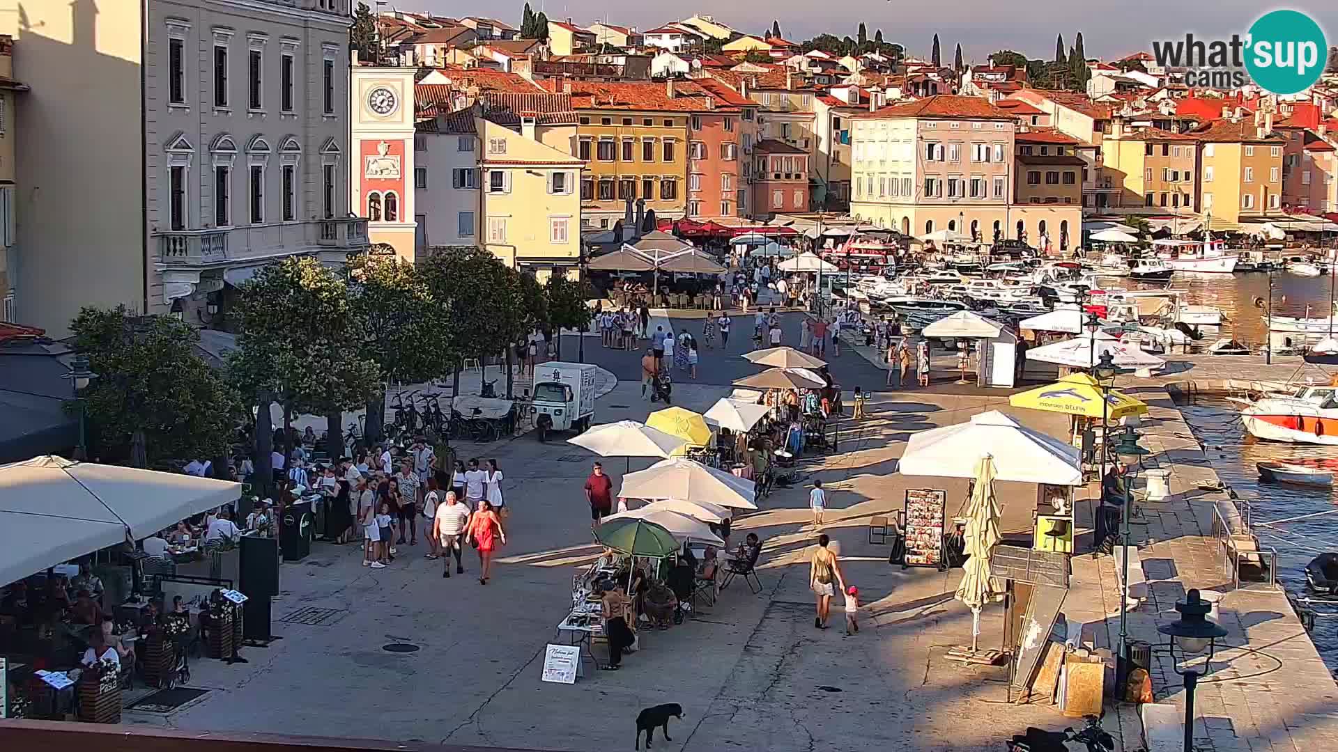 Rovinj webcam promenade and marina – Istria – Croatia