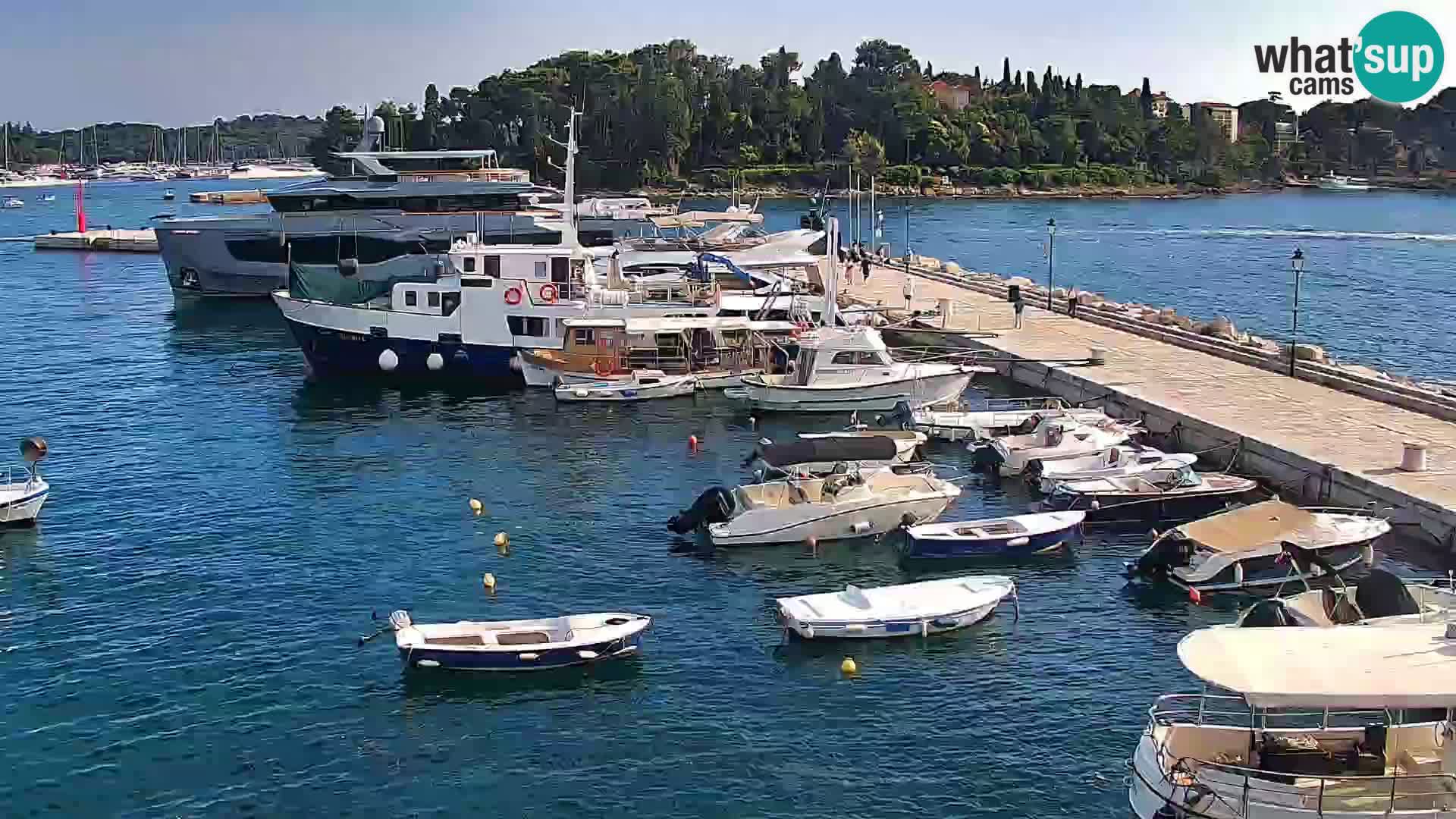 Webcam Rovinj Promenade – Istrien – Kroatien