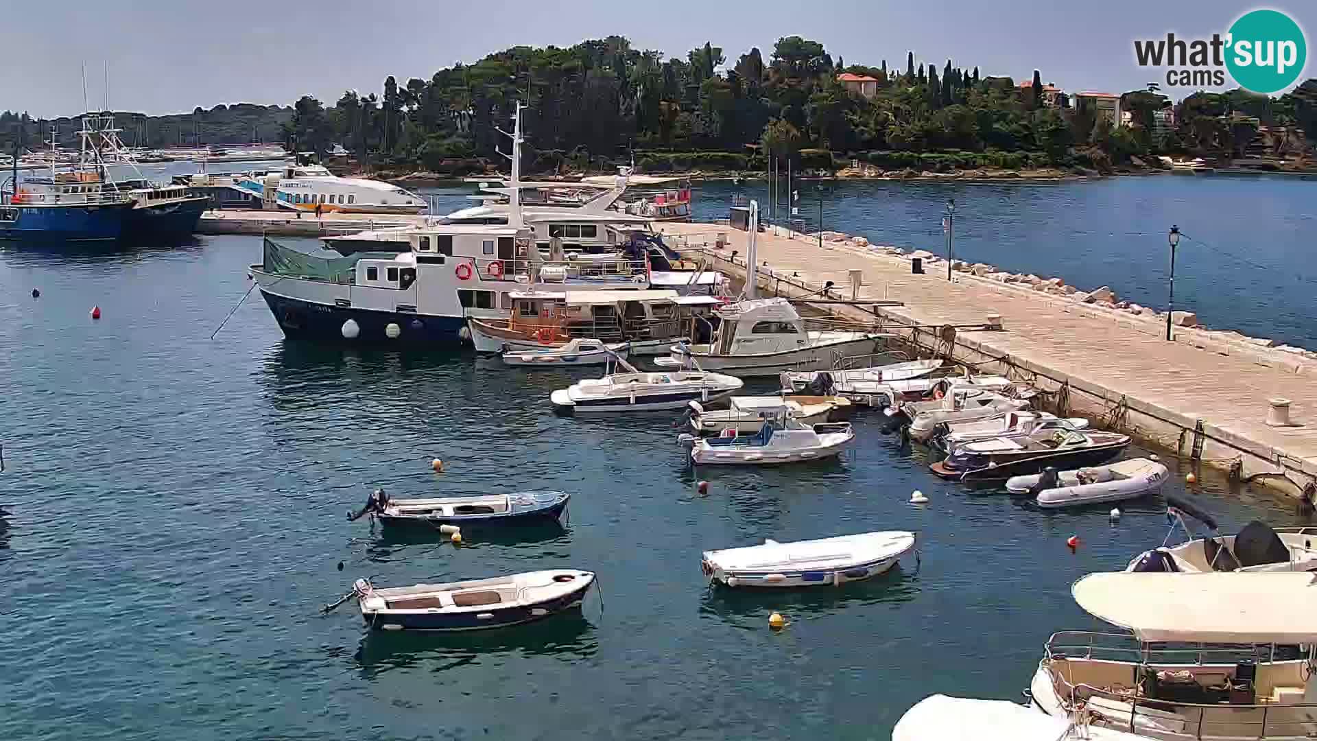 Webcam Rovigno marina | Lungomare | Rovinj Croazia