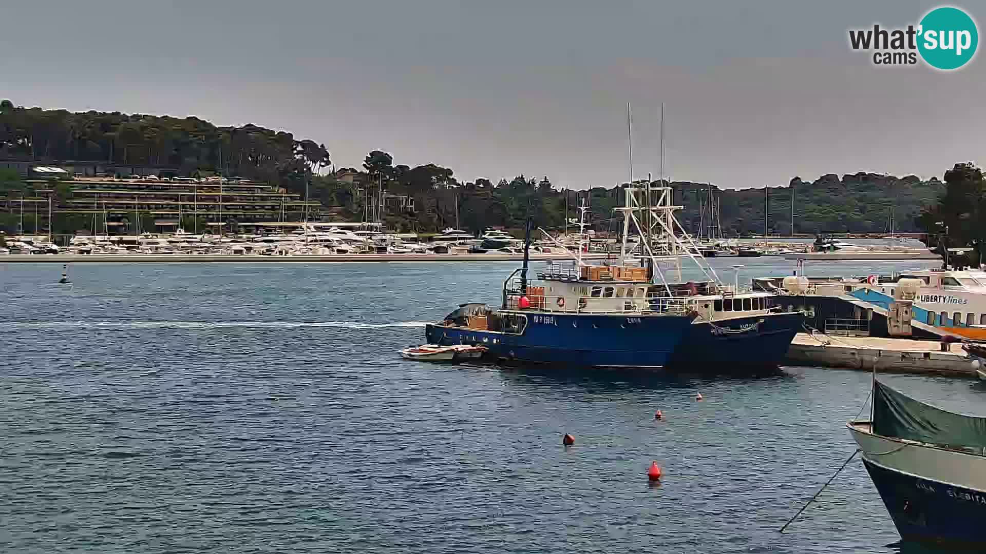 Promenada i marina u Rovinju