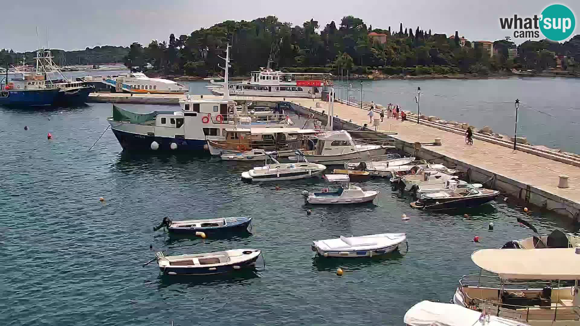 Webcam Rovinj Promenade – Istrien – Kroatien