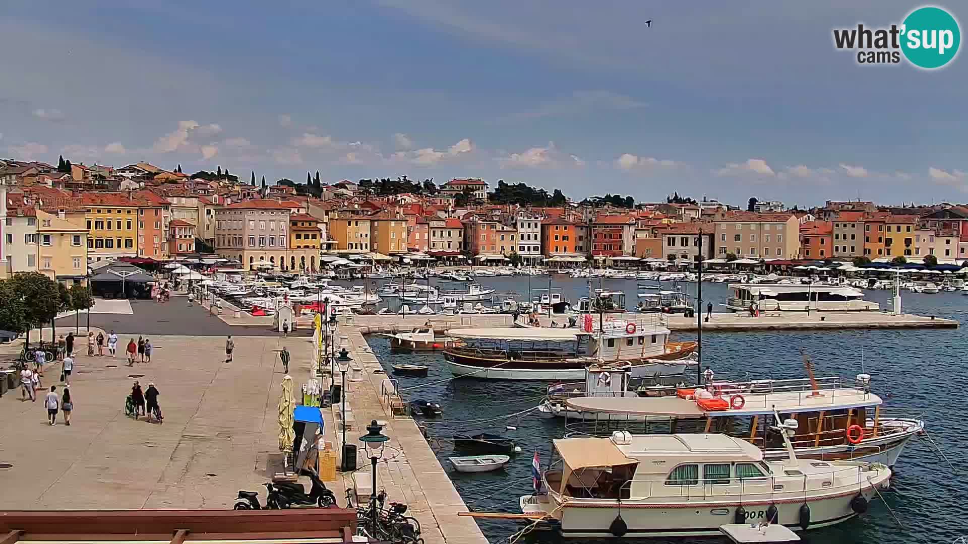 Rovinj webcam promenade and marina – Istria – Croatia