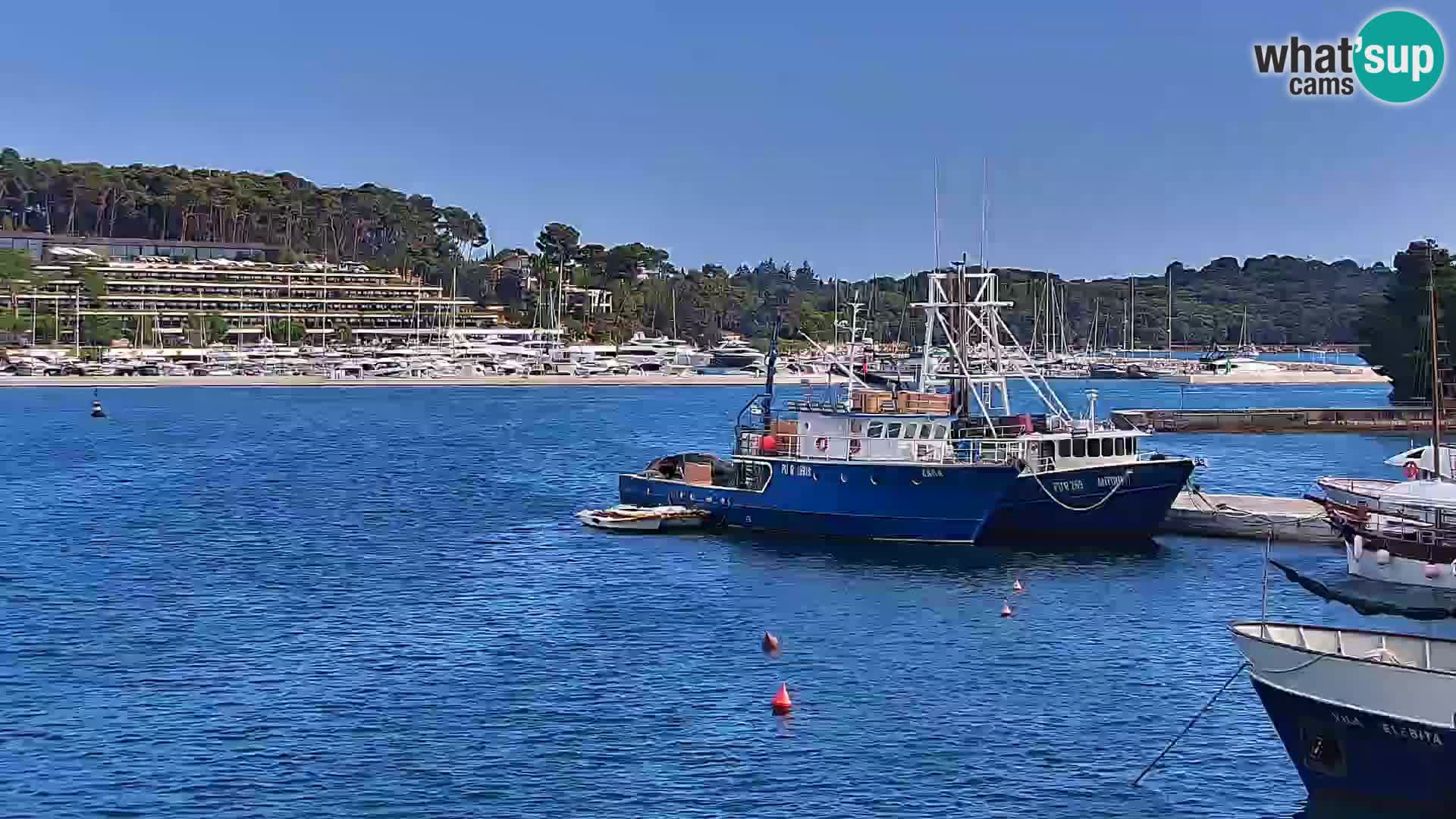 Promenada i marina u Rovinju