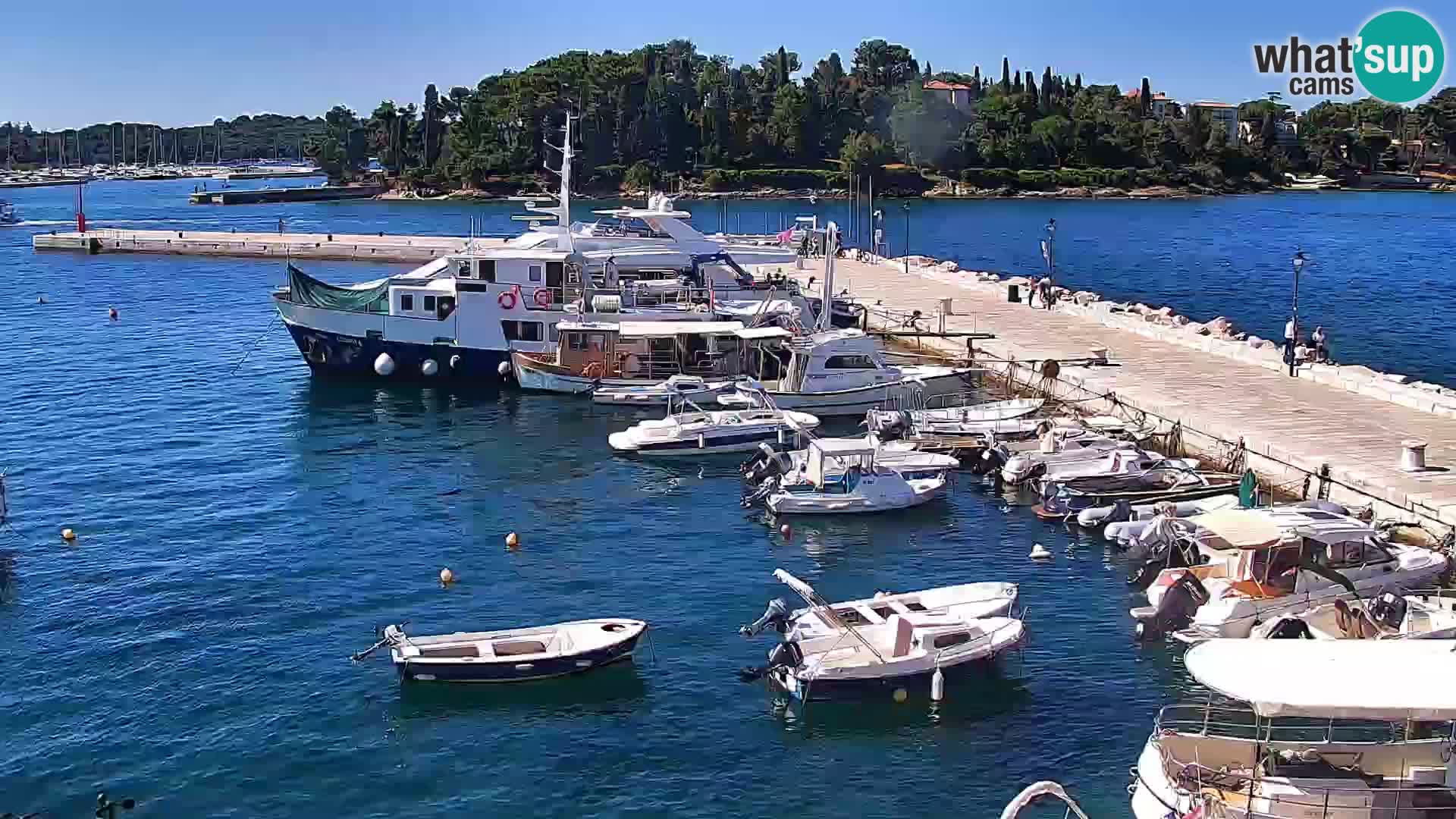 Webcam Rovigno marina | Lungomare | Rovinj Croazia