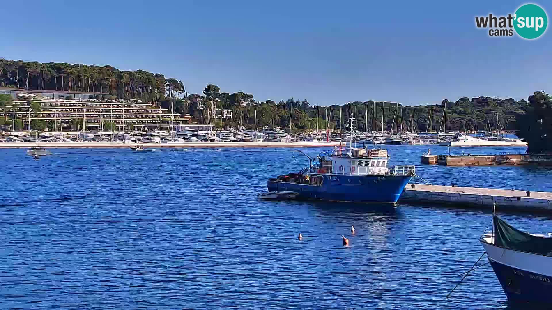 Rovinj webcam promenade and marina – Istria – Croatia