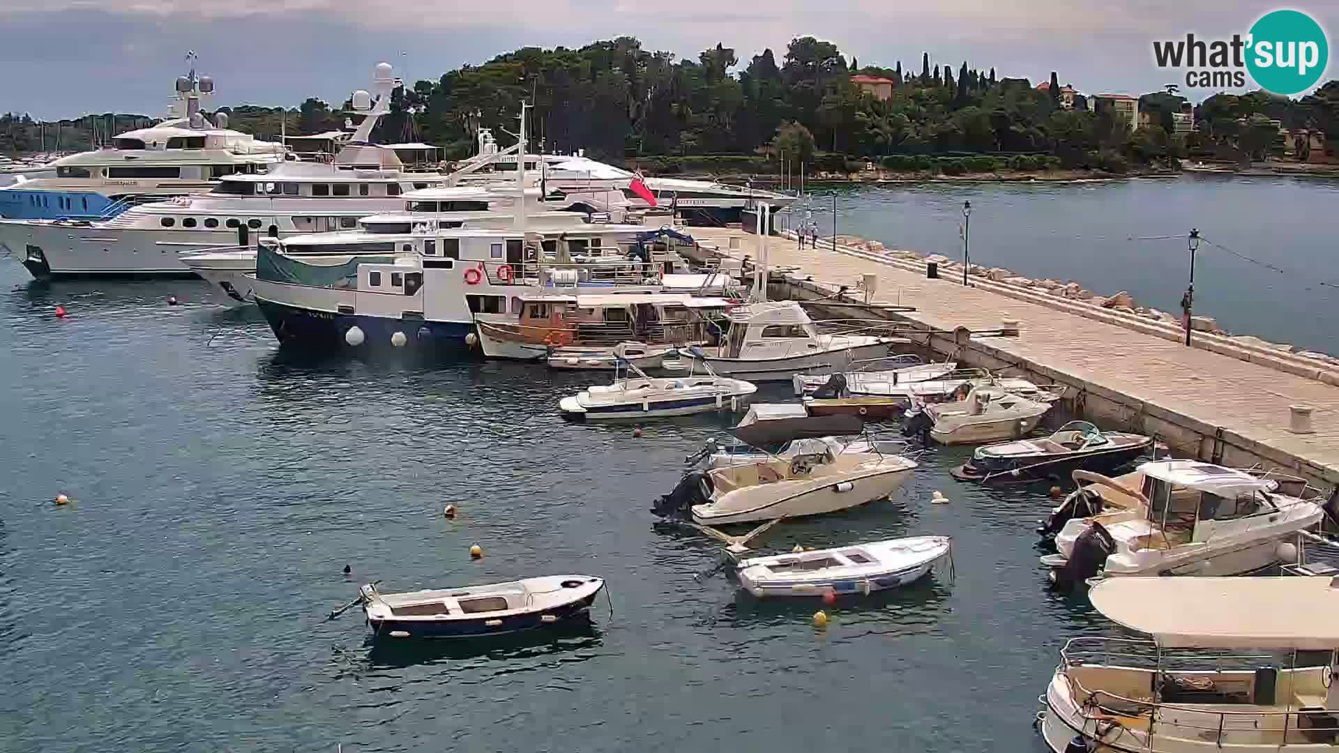 Webcam Rovinj Promenade – Istrien – Kroatien