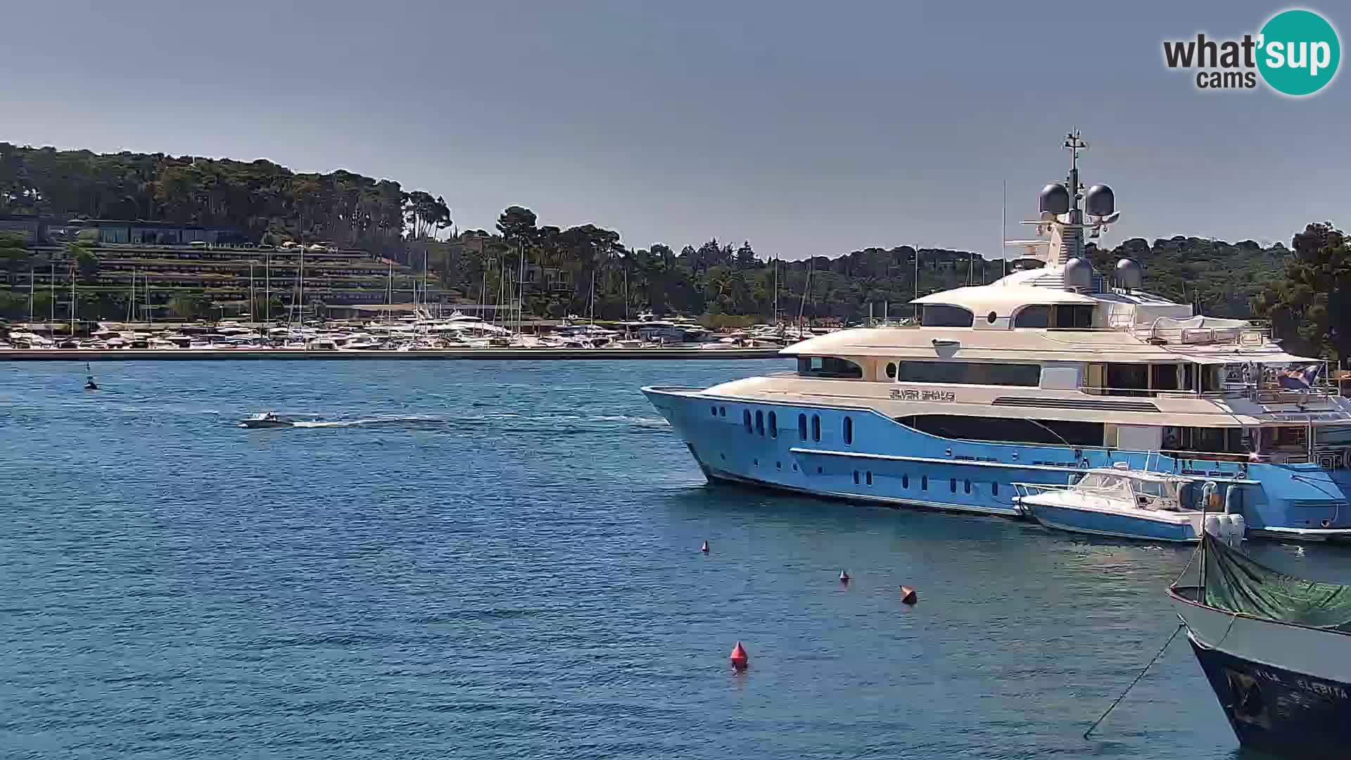 Webcam Rovinj Promenade – Istrien – Kroatien