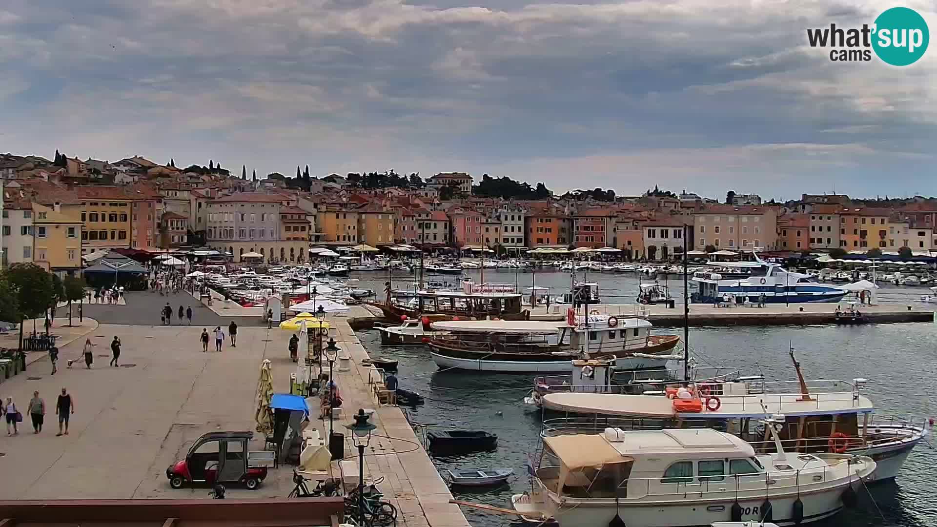Webcam Rovigno marina | Lungomare | Rovinj Croazia