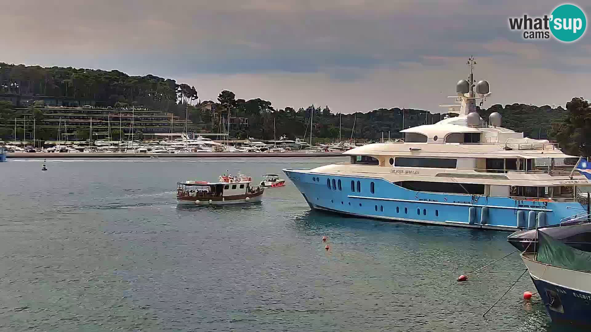 Rovinj webcam promenade and marina – Istria – Croatia