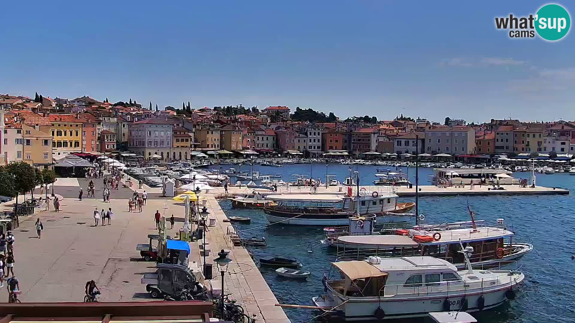 Rovinj webcam promenade and marina – Istria – Croatia