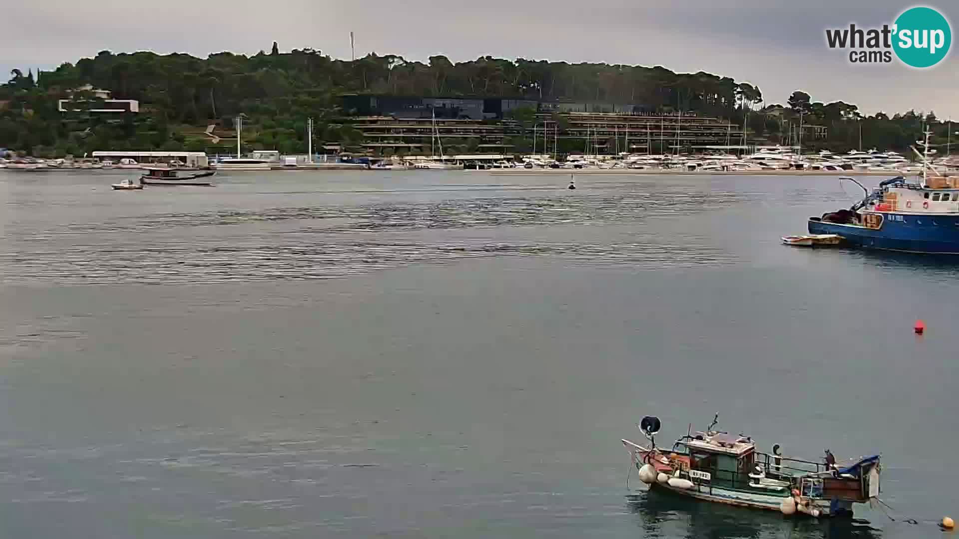Webcam Rovigno marina | Lungomare | Rovinj Croazia