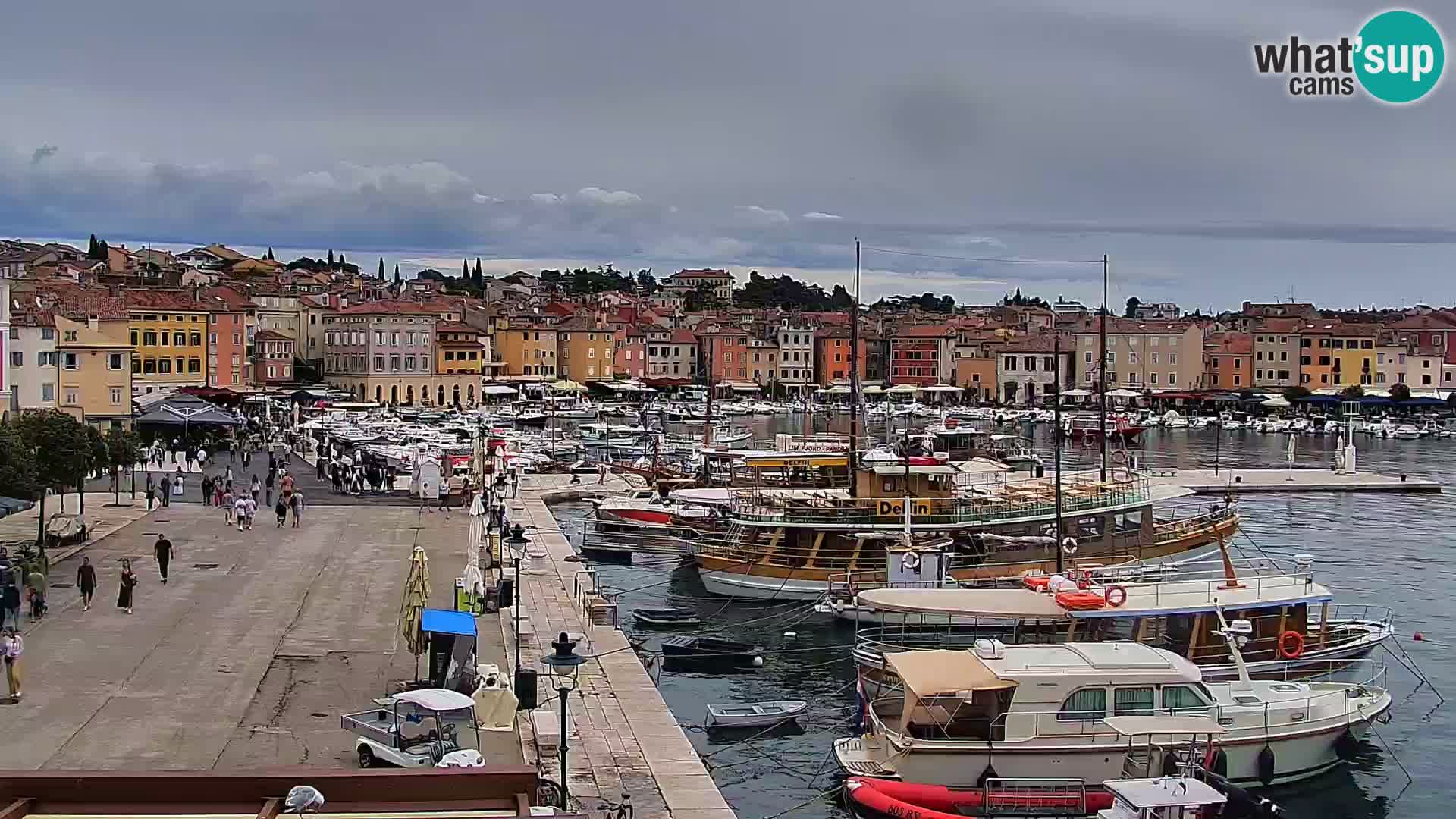 Rovinj webcam promenade and marina – Istria – Croatia