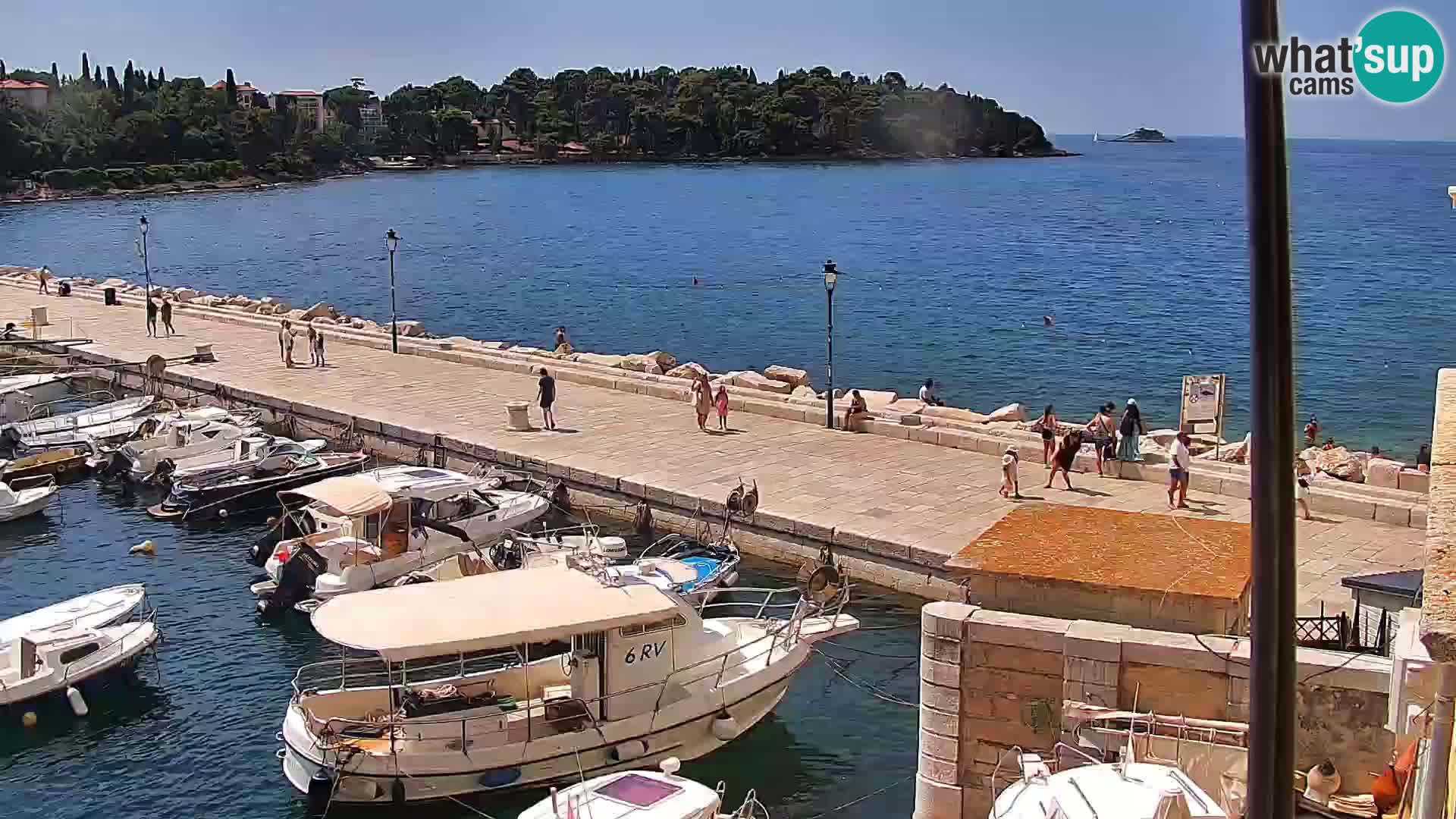 Rovinj webcam promenade and marina – Istria – Croatia