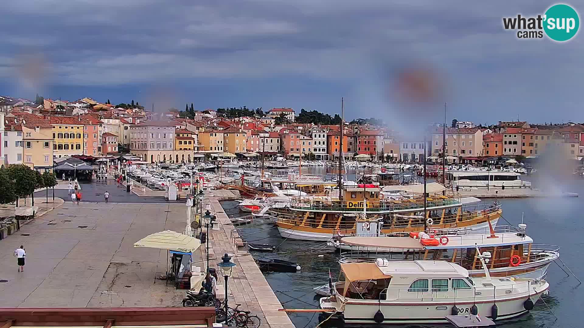 Promenade e marina en Rovinj