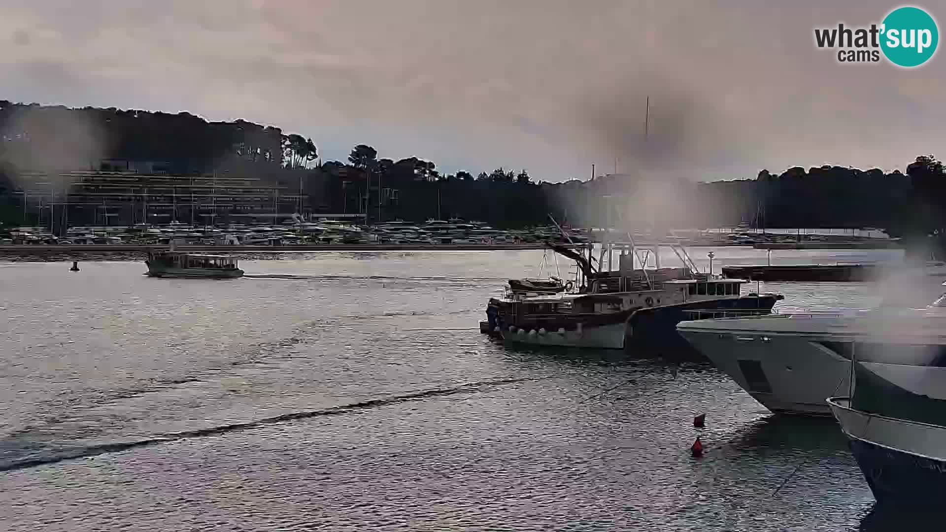 Promenade e marina en Rovinj