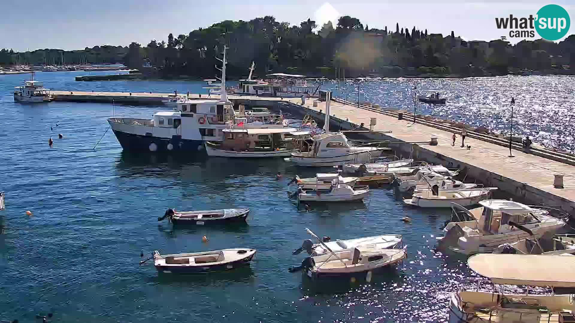 Spletna kamera Rovinj promenada in marina | Rovinj Vreme