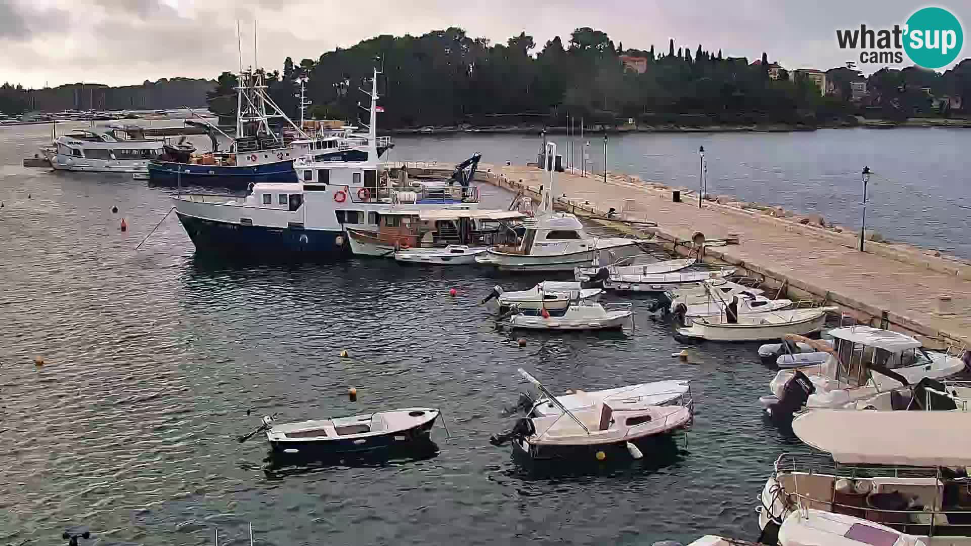 Webcam Rovigno marina | Lungomare | Rovinj Croazia